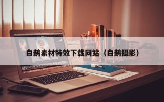 蓬莱白鹅素材特效下载网站（白鹅摄影）